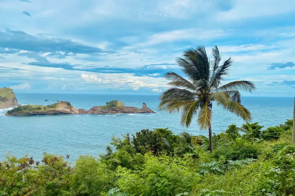 St. Lucia Citizenship by Investment Options