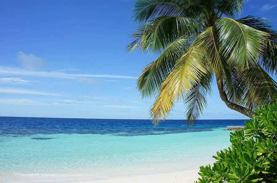 Vanuatu Citizenship Price